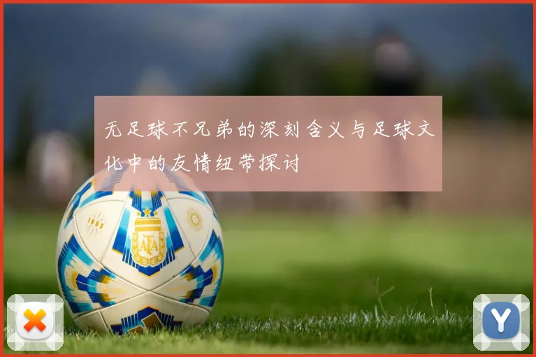 无足球不兄弟的深刻含义与足球文化中的友情纽带探讨