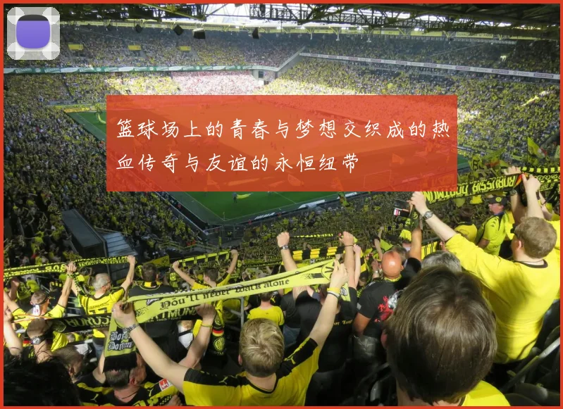 篮球场上的青春与梦想交织成的热血传奇与友谊的永恒纽带