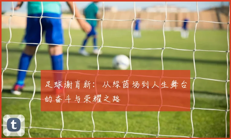 足球谢育新：从绿茵场到人生舞台的奋斗与荣耀之路