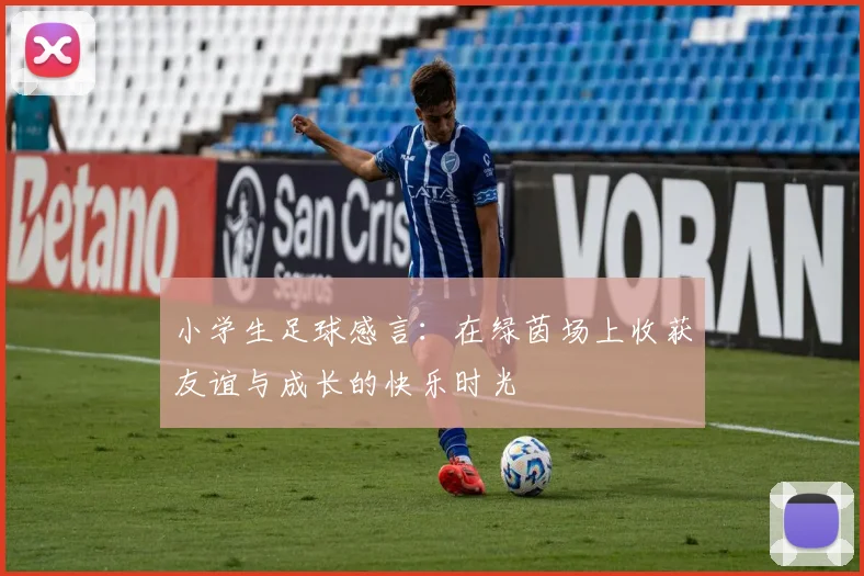 小学生足球感言：在绿茵场上收获友谊与成长的快乐时光