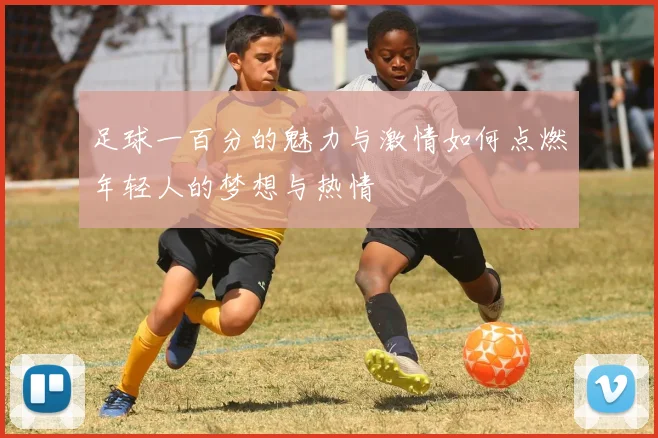 足球一百分的魅力与激情如何点燃年轻人的梦想与热情