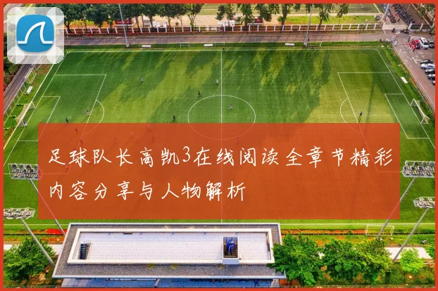 足球队长高凯3在线阅读全章节精彩内容分享与人物解析