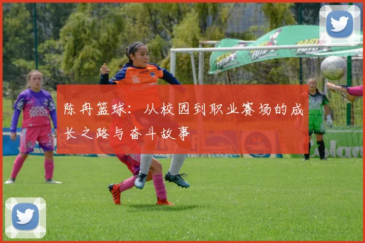 陈冉篮球：从校园到职业赛场的成长之路与奋斗故事